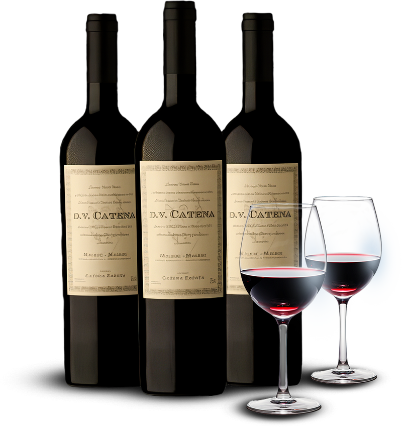 Kit 3 vinhos DV Catena + 2 Taças de cristal